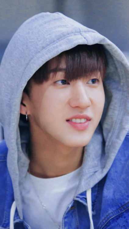 『CHANGBIN』saved? reblog or like© fantaken owners