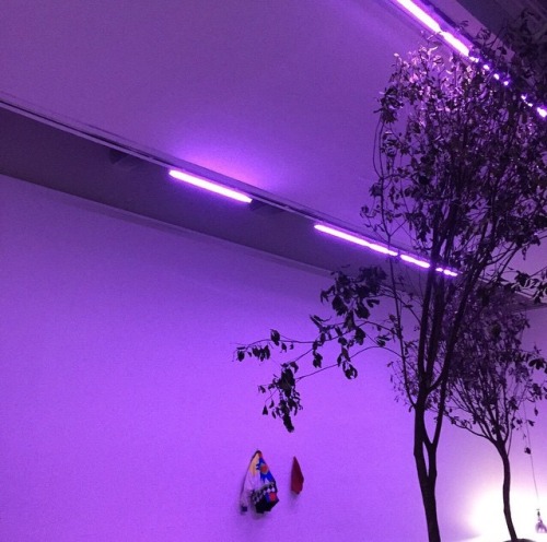 xuues:vousmevoyez // purple lights