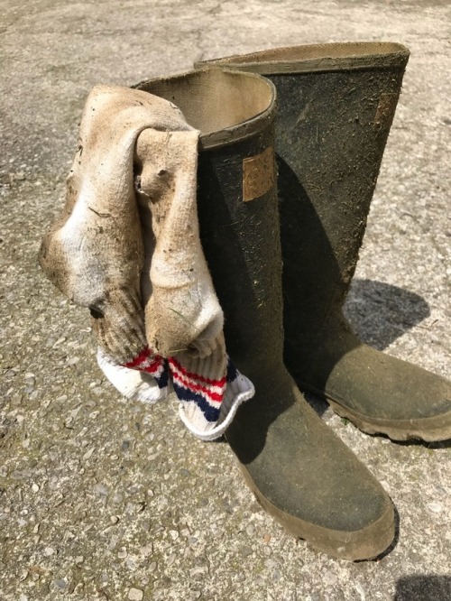 waders1958: pfumes:Ruined sox Sehr alte Bulls?Noch älter und versiffter sind die Socken.