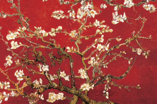 aizobnomragym:Vincent van Gogh“Almond Blossom”