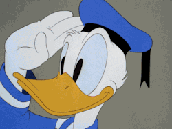 the-disney-elite: Donald Duck in The New
