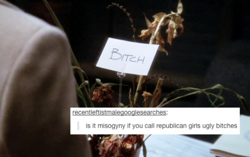toberziegly:  The West Wing + text posts: Ainsley Hayes edition