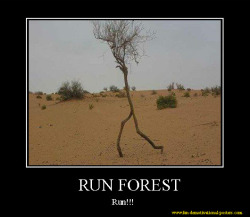 science-junkie:  Run forest!!  Run forest&hellip;RUN