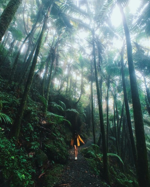 java-jungle: thelumberjack: Heavybreathing Follow | Lumberjack Black  ☮ ☯ ☁ Active jungle blog 