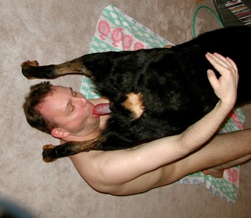 zoogay:  Dobberman!!