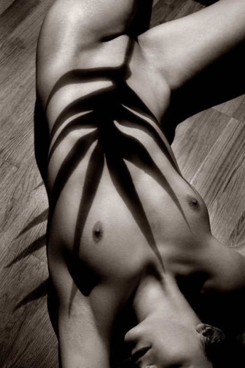 vivipiuomeno:  Button Shadow by Nick Giles 