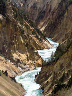 about-usa:  Yellowstone Nation Park - Wyoming - USA (by Garen Meguerian)