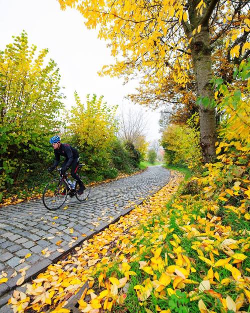 pedalitout: Fall on the Oude Kwaremont. | @jeredgruber by castellicycling ift.tt/1MEnYpr