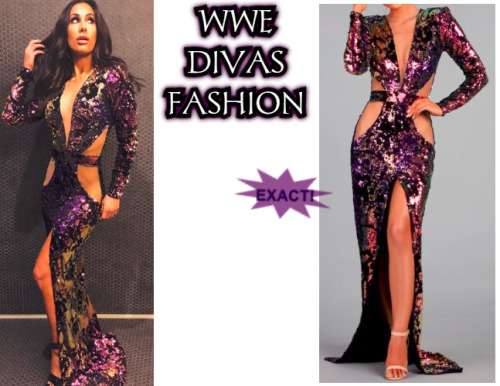 Carmella wore the Walter Collection Blair Gown to the 2019 WWE Hall Of Fame Induction Ceremony on Ap