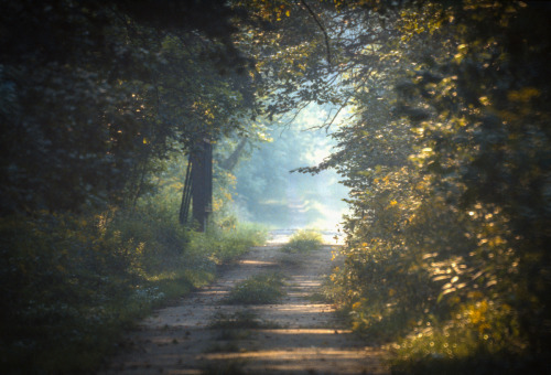 Dirt Road, Muscatatuck NWR, Indiana (Kodachrome from 1985)© Doug Hickok   More here&he