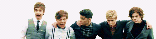 omgzarry:  One Direction → Music Videos