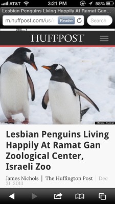 rotiqueen:  foreverkindofllove:  This penguin has a girlfriend and I don’t. Cool. #lesbianpenguinforthewin  ^^^