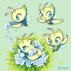 aquanutart:  Remember to get Celebi via Mystery