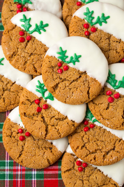 nom-food:  White chocolate dipped ginger cookies 