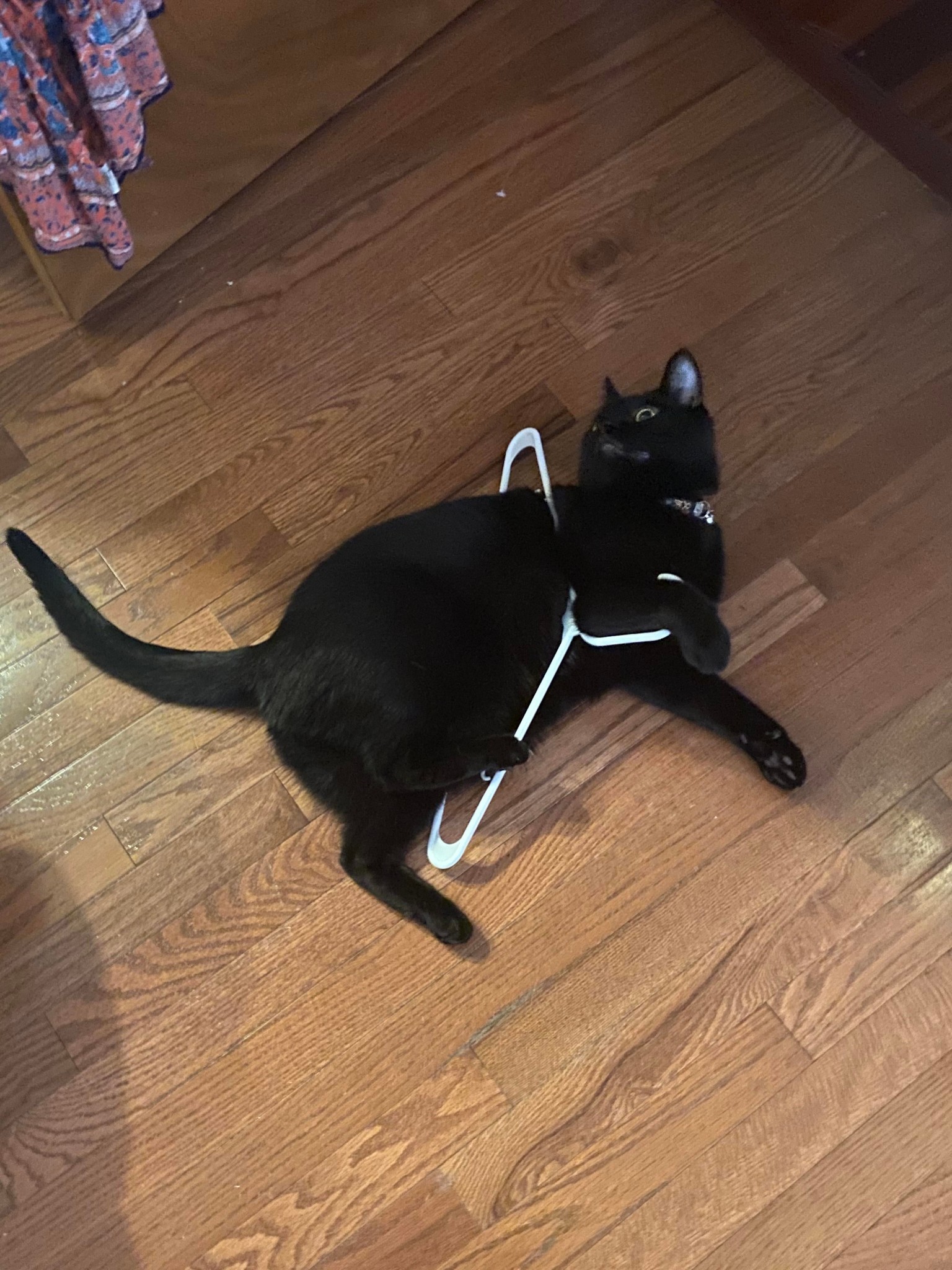 catasters: