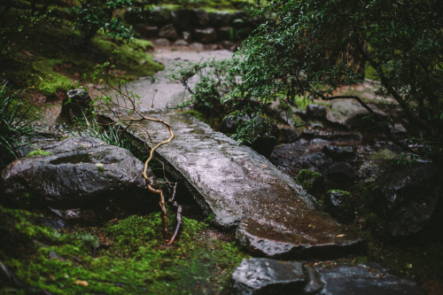 helloellie:viα talltalememory: Portland Japanese Garden