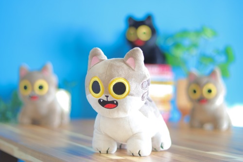✨Our Super Adventure Plush Cats!✨ We can’t wait to send a bunch of these beautiful cats into t