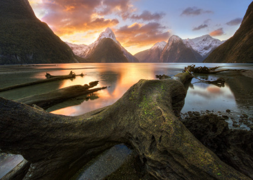 earth-land:  Milford Sound, New Zealand Milford Sound sits within Fiordland National Park in the sou