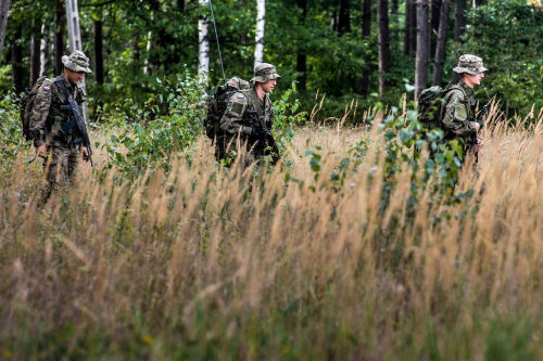 Porn photo militaryarmament:  Polish Paratroopers from