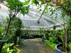 venus-garden:  botanical gardens: my favorite places in the city 