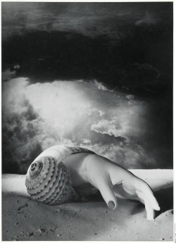 theartistsmanifesto:  Dora Maar, Sans Titre (Main-coquillage), 1934.  