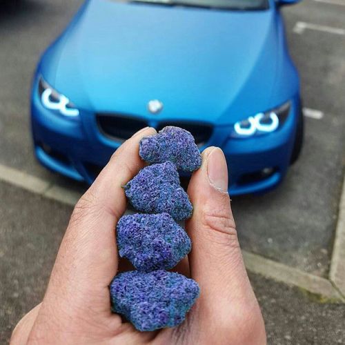 thedailychief:  Love the color 😱  📷: instagram.com/mr.loud_jd  I didn’t know blue bud existed.  I want some