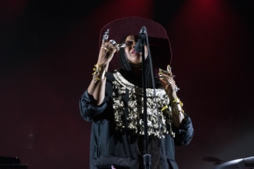 Erykah Badu at Camp Flog Gnaw Carnival 2016Photos by: Ciarra Walters