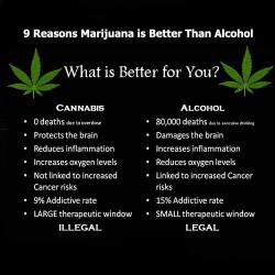weedseedsandbongs:  Marijuana VS Alcohol.   Well&hellip;  Then&hellip;  Today it legal here :)