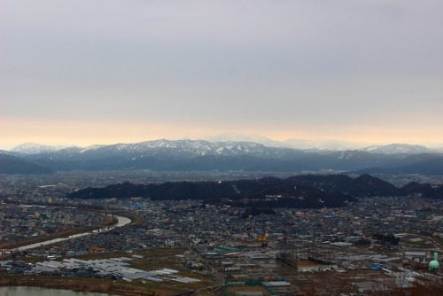 20180311（日）スプリング エフェメラル（Spring ephemeral）の投稿が散見されるこの頃ですが、下市山（しもいちやま）ではようやく「春の妖精」ではありませんが「ナニワズ」がチラホラ開