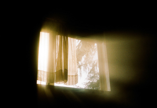untrustyou:  Ryan Young