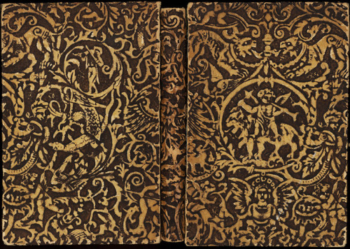 uwmspeccoll: A Caturday Book Cover This week we present an embossed paper book cover featuring sever