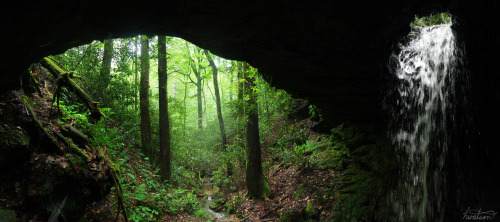 frolicingintheforest:It’s amazing what is hidden in the wilderness. This place was so amazing,