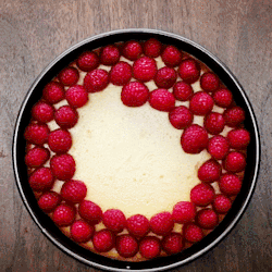 tokkeki:Raspberry Cheesecake by Tasty Japan  