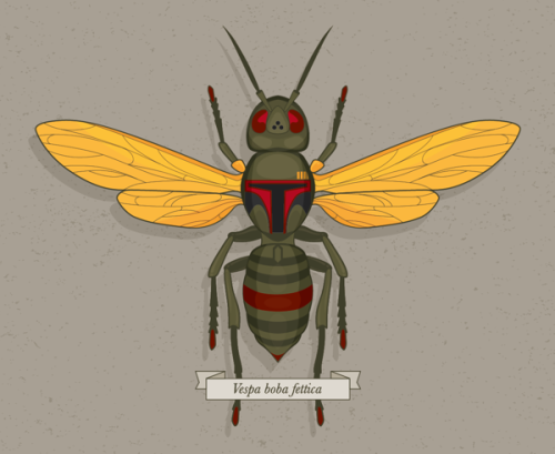 Bug Wars Created by Keith Krebbs (Via:tiefighters)