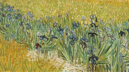 View of Arles with Irises in the Foreground (Detail)  -  Vincent van Gogh 1888Post-impressionism