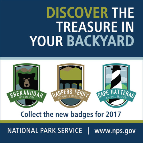 The brand campaign for national park badges was created by current Graphic Design student Ujeania Aa