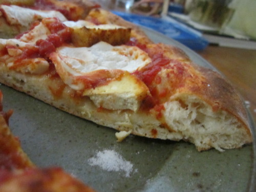 veganpizzafuckyeah:  reblogged from notrealfood:  Two pizzas topped with fried tofu (battered with flour, nutritional yeast, sea salt, ginger, wasabi, and ground chipotle pepper), Teese mozzarella, and a little bit of chili oil. Same NY-style crust as