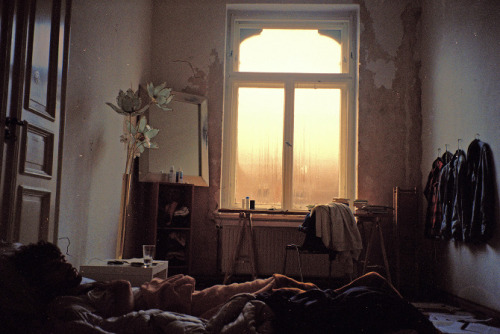 hellanne:  by Jasmine Deporta  x