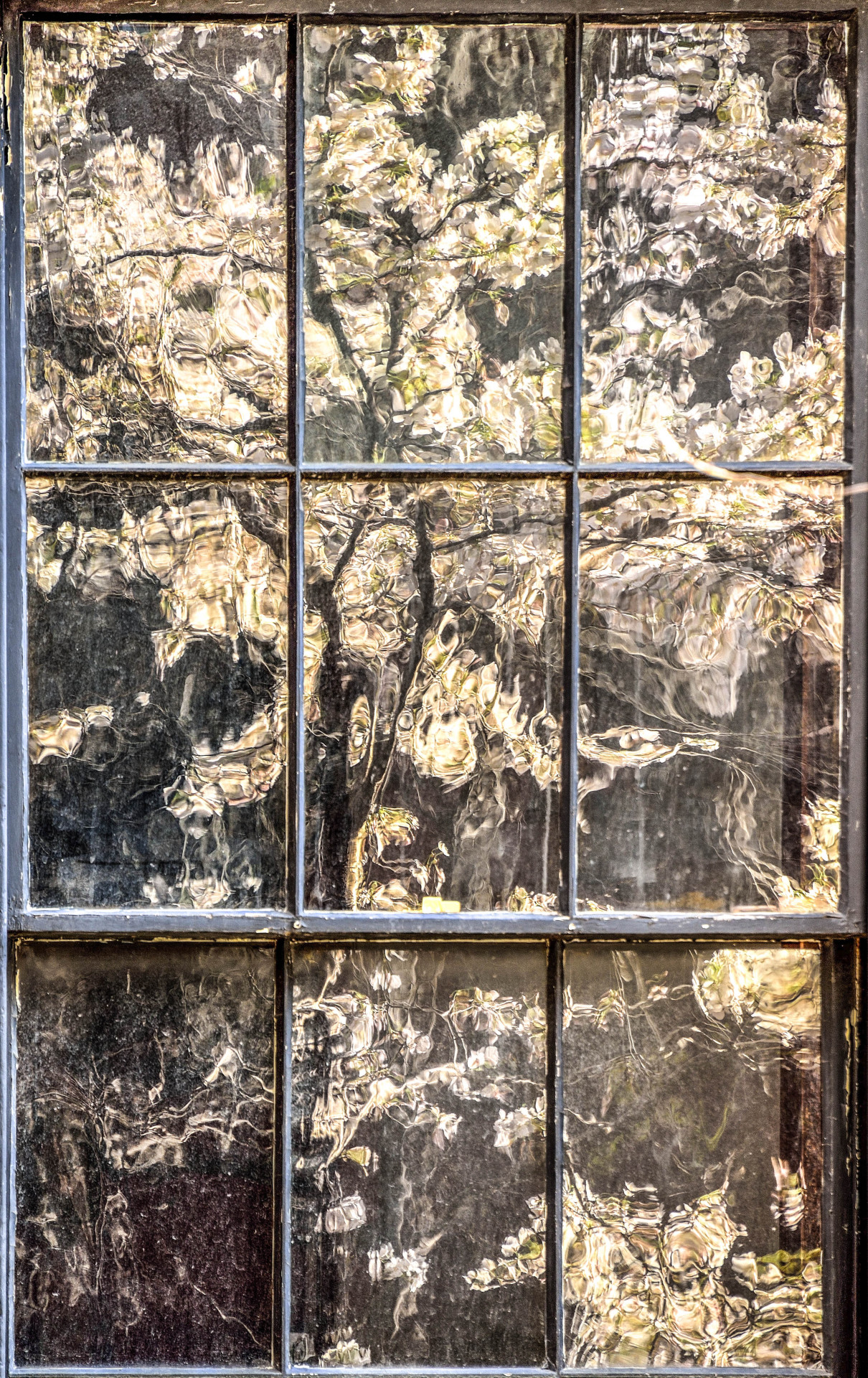 chynatako:  Thomas Zhuang: STREET SERIES, #794, 2015