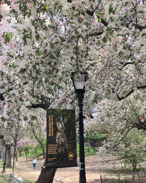 Just a walk in the park…. #riversideparknyc #sundayafternoons #springflowers (at Riverside Pa