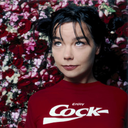 Björk, ph. by Dave Stewart (1995) mise