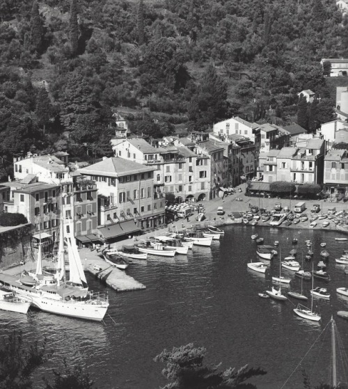 Portofino by Kees Scherer