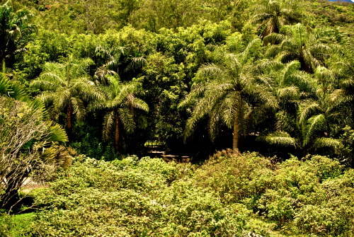 minas gerais