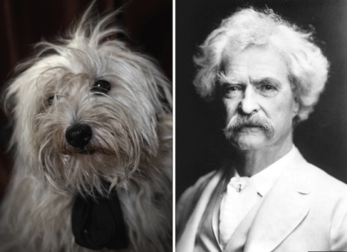 ipoenoticias: iclassicscollection:      Photographer Dan Bannino juxtaposes photographs of dogs that resemble famous writers. His project, which is called #POETICDOG, aims to draw attention to the needs of abandoned dogs in shelters, and to help raise
