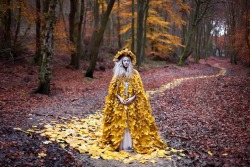 districtfete:  The Ghost Swift and The Journey Home (by Kirsty Mitchell) 
