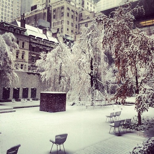 mrphuthoughts:  Snowy day #MoMA #sculpturegarden #work #nyc #snow