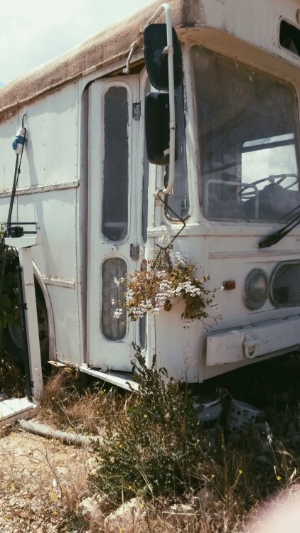 cloudsandgalaxies: abandoned bus I saw today