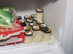 4cumlovers:  cruisercumpup:  This guy always has the best frozen treats!  I wish my freezer looked like this. (Not for lack of trying).     www.4cumlovers.tumblr.com ♂♂   65.000 followers - thnx guys !!     Omg!