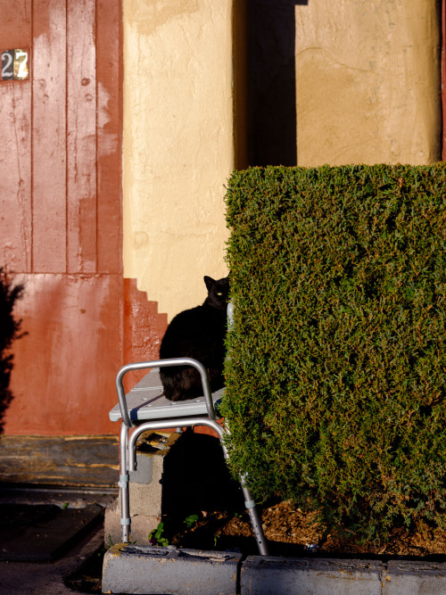 americaisdead: tewa lodge. albuquerque, new mexico. november 2021© tag christof