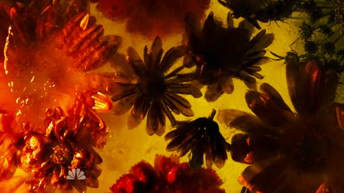 munchmeincookeh:  Flowers - Hannibal S2xE6 &amp; S2xE7 